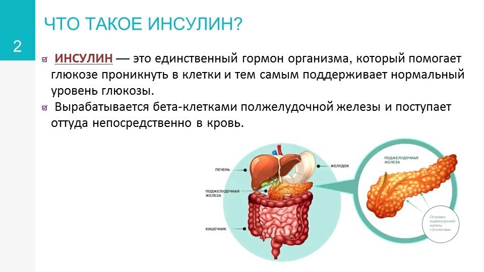 инсулин2